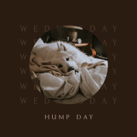 Wednesday Hump Day Instagram Post Design