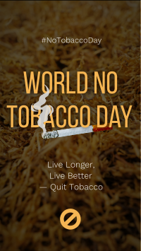 No Tobacco Day Instagram reel Image Preview