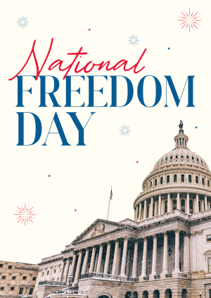 Freedom Day Fireworks Poster Image Preview