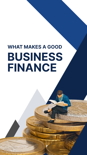 Business Finances Instagram story Image Preview