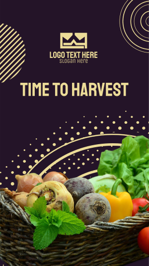 Harvest Vegetables Instagram story Image Preview