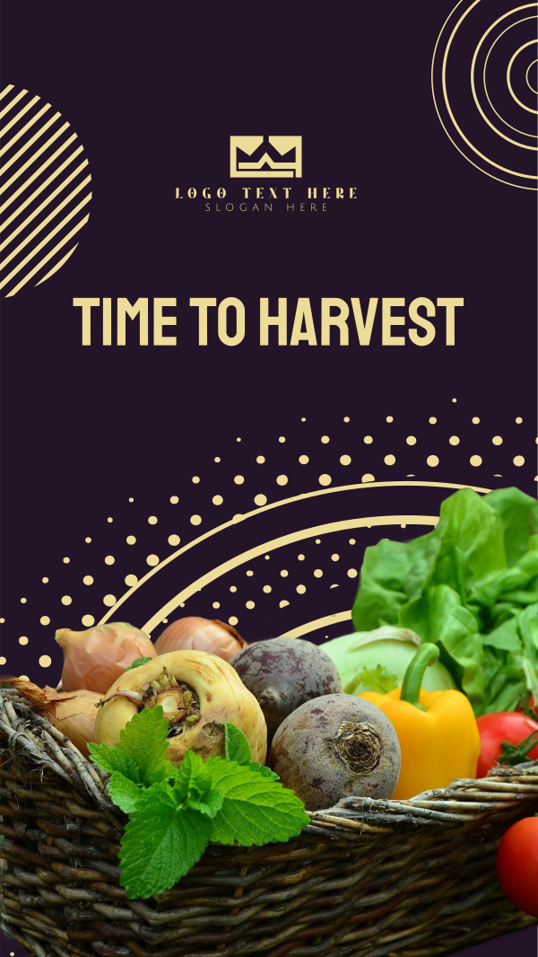 Harvest Vegetables Instagram Story Design Image Preview