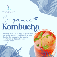 Probiotic Kombucha Instagram Post Preview