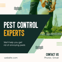 Pest Control Experts Instagram post Image Preview