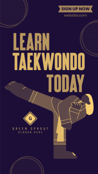 Taekwondo for All TikTok Video Image Preview