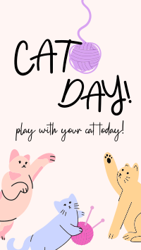 Cat Playtime Facebook Story Design