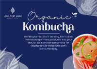 Probiotic Kombucha Postcard Design