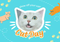 Show off your cat! Postcard Image Preview