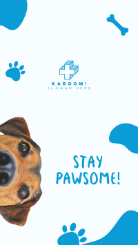 Stay Pawsome Instagram story Image Preview