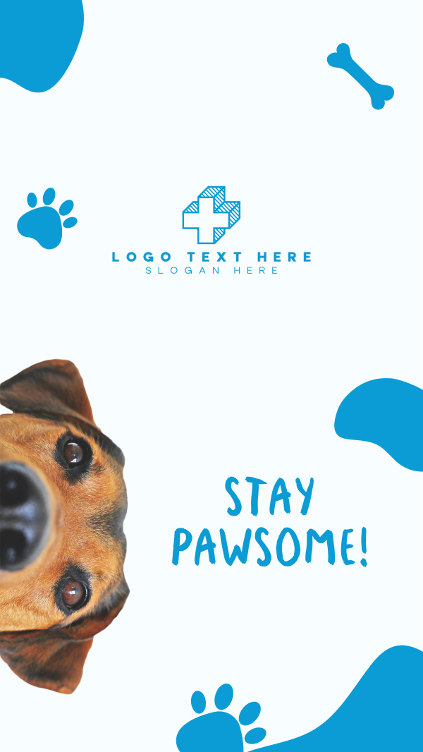 Stay Pawsome Instagram Story Design Image Preview