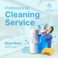 The Professional Cleaner Instagram post Image Preview