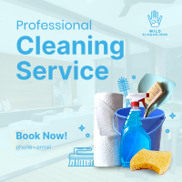 The Professional Cleaner Instagram post Image Preview