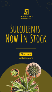 New Succulents Instagram story Image Preview