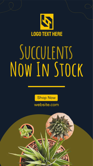 New Succulents Instagram story Image Preview