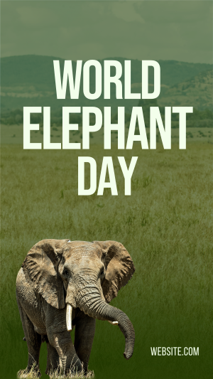 World Elephant Day Facebook story Image Preview