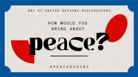 Contemporary United Nations Peacekeepers