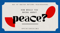 Contemporary United Nations Peacekeepers Animation Image Preview