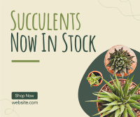 New Succulents Facebook Post Design