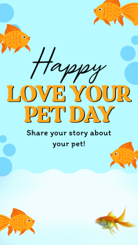 Bubbly Pet Day YouTube short Image Preview