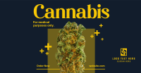 Medicinal Cannabis Facebook Ad Design