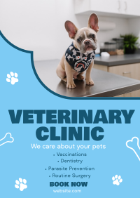Professional Veterinarian Clinic Poster Image Preview