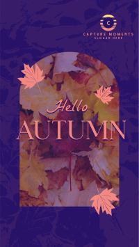 Hello There Autumn Greeting Instagram Reel Design
