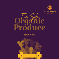 Organic Produce For Sale Instagram post Image Preview