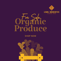 Organic Produce For Sale Instagram post Image Preview