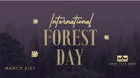 Minimalist Forest Day Video Image Preview