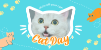 Show off your cat! Twitter post Image Preview