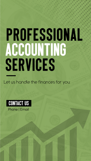 Accounting Professionals Facebook story Image Preview