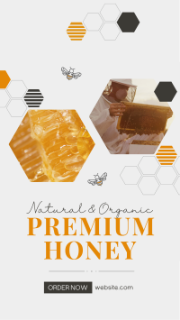 A Beelicious Honey Video Image Preview