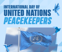 International Day of United Nations Peacekeepers Facebook post Image Preview