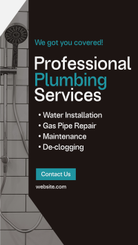 Professional Plumbing Service YouTube Short Preview