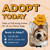 Adopt A Pup Instagram post Image Preview