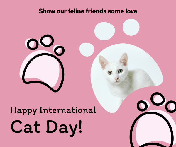 Pink International Cat Day Facebook Post Design Image Preview