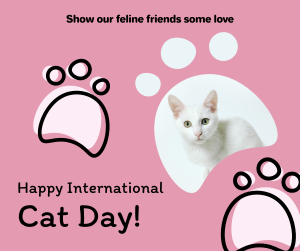 Pink International Cat Day Facebook post