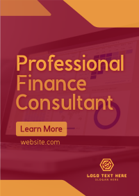 Professional Finance Consultant Poster Image Preview