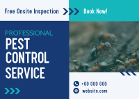 Professional Pest Control Postcard Image Preview