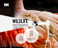Wildlife Photography Contest Facebook Post Design