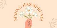 Spring has Sprung Twitter post Image Preview