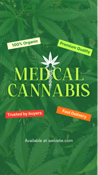 Trusted Medical Marijuana YouTube Short Design