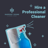Discounted Professional Cleaners Instagram post Image Preview