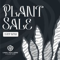 Bubbly Plant Sale Instagram Post Preview
