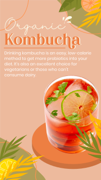 Probiotic Kombucha YouTube short Image Preview