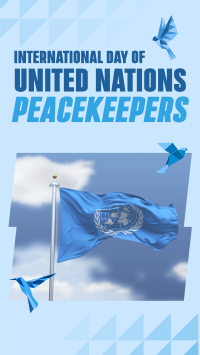 International Day of United Nations Peacekeepers Facebook Story Image Preview