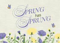 Spring Has Sprung Postcard Image Preview