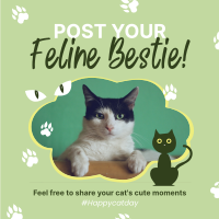 Cat Appreciation Post Instagram Post Design