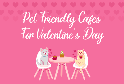Pet Cafe Valentine Pinterest board cover Image Preview