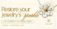 Jewelry Cleaning Luxe Facebook Ad Image Preview